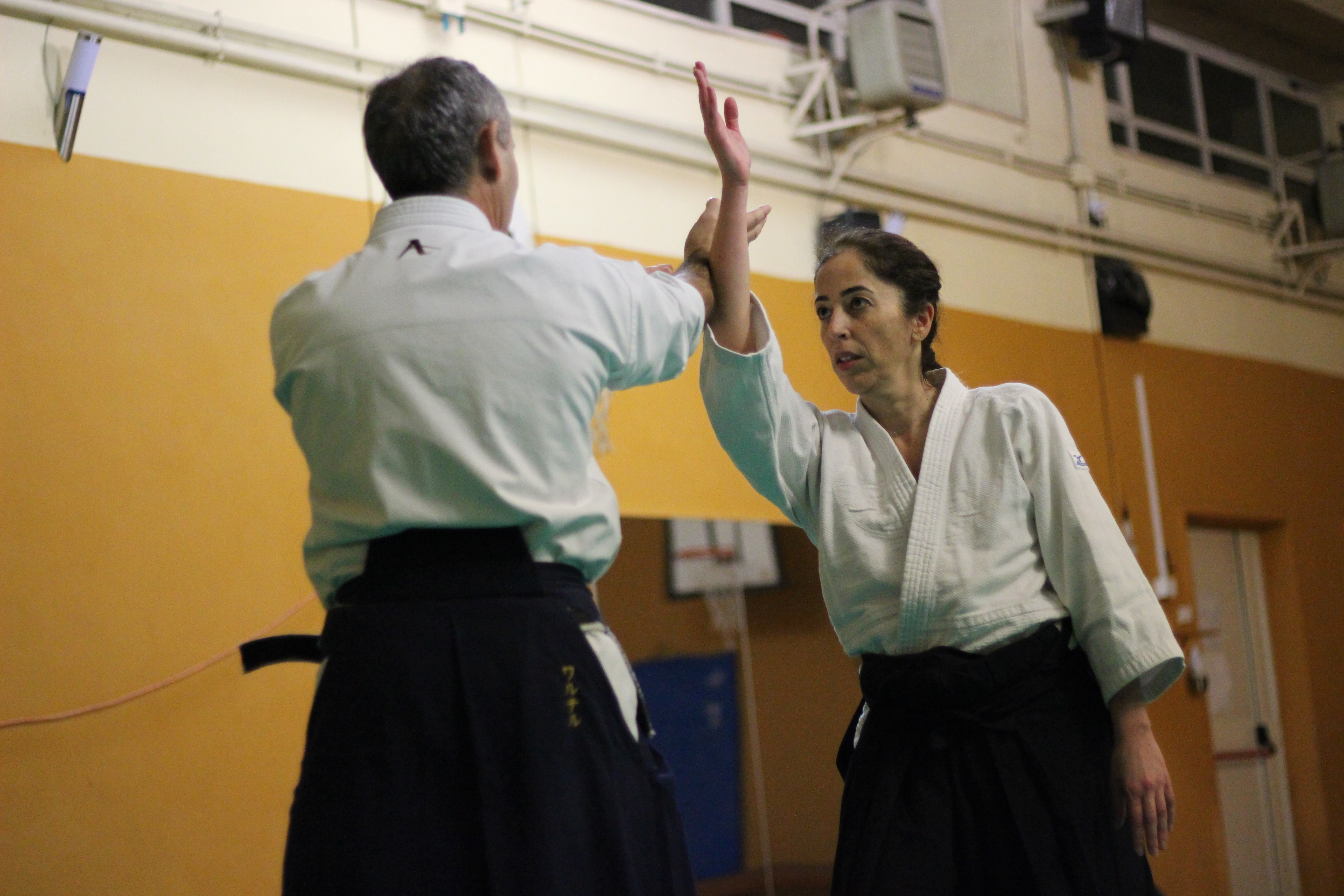 Aikido