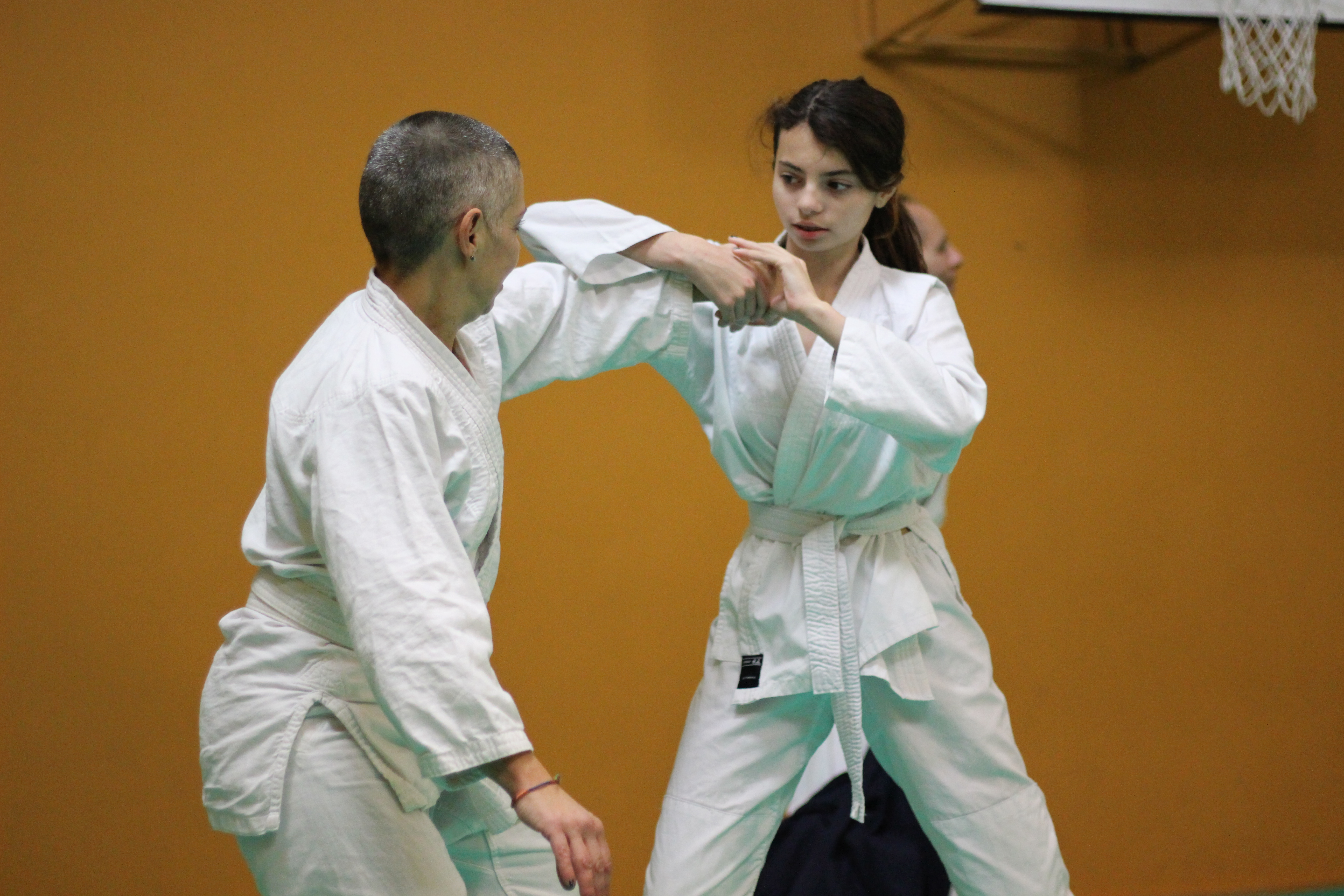 Aikido