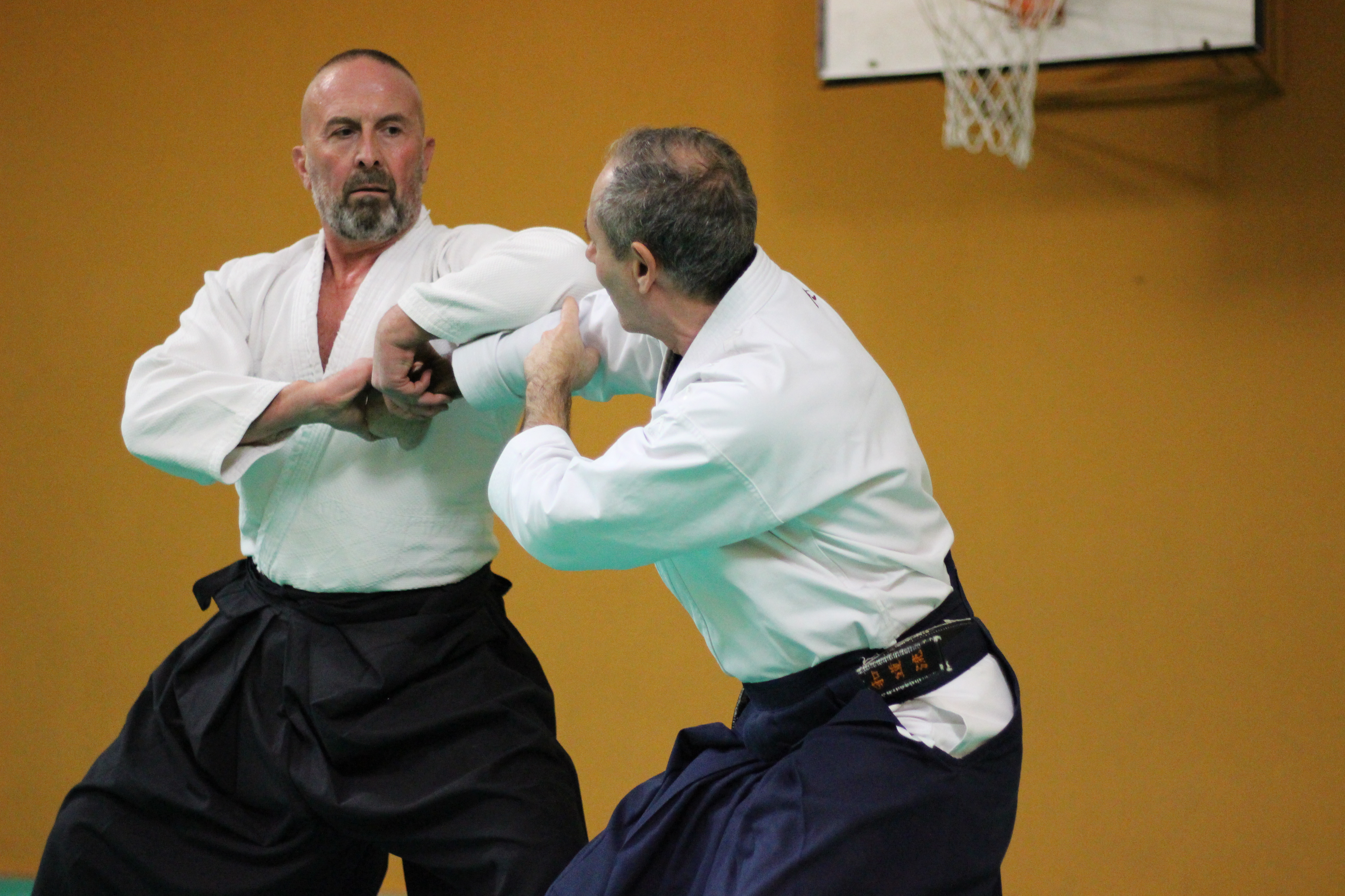 Aikido