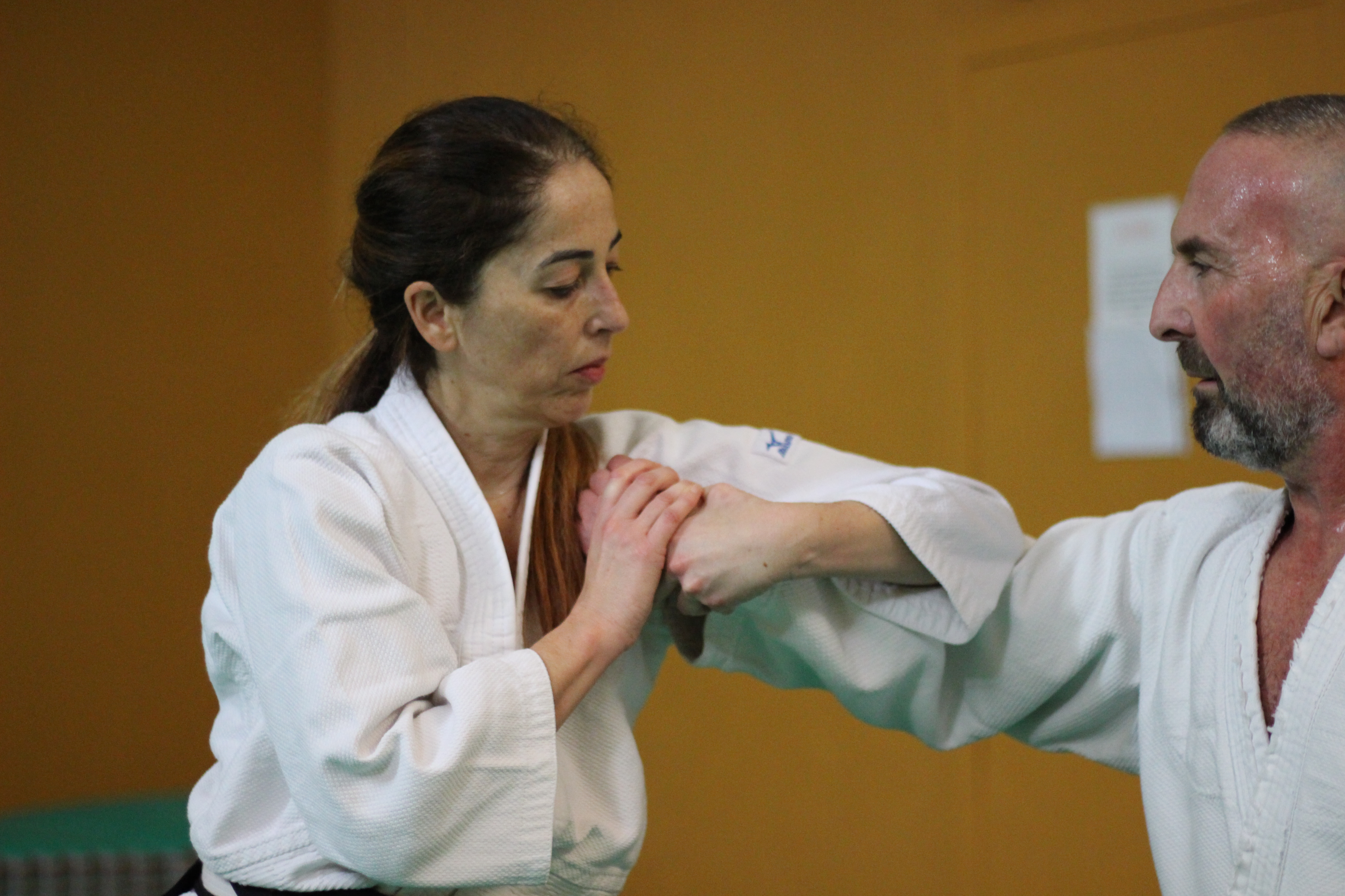 Aikido