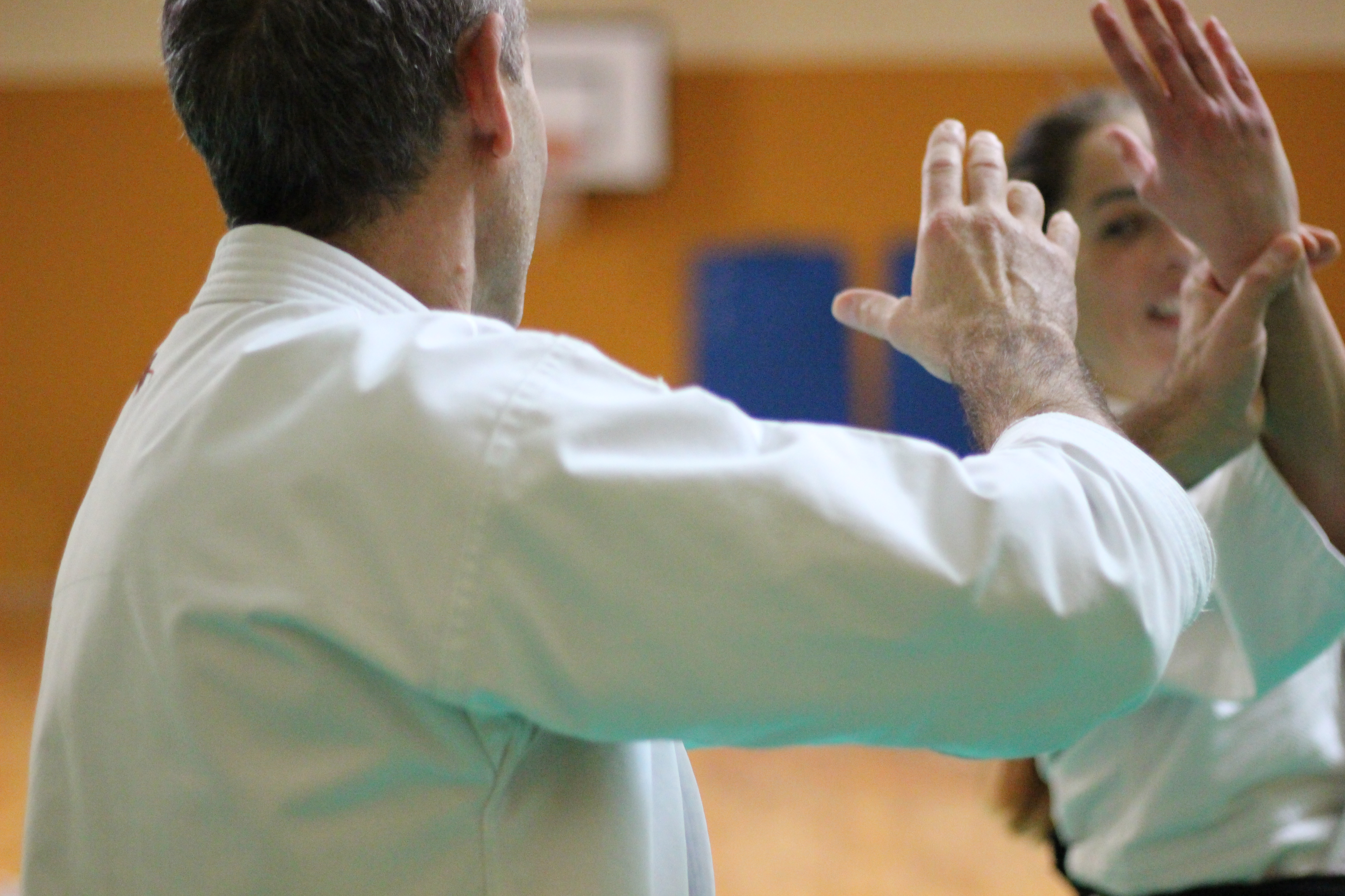 Aikido