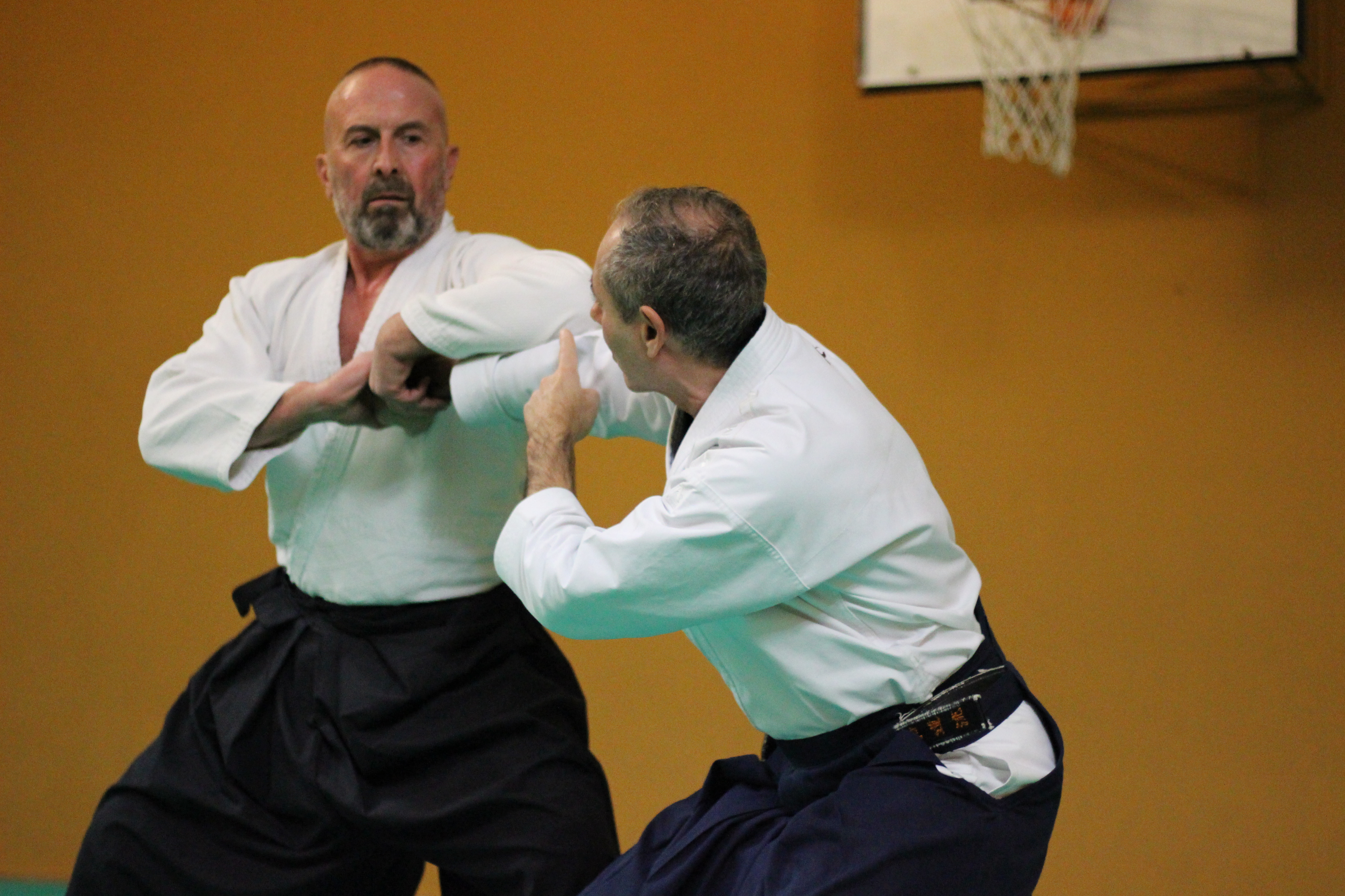 Aikido