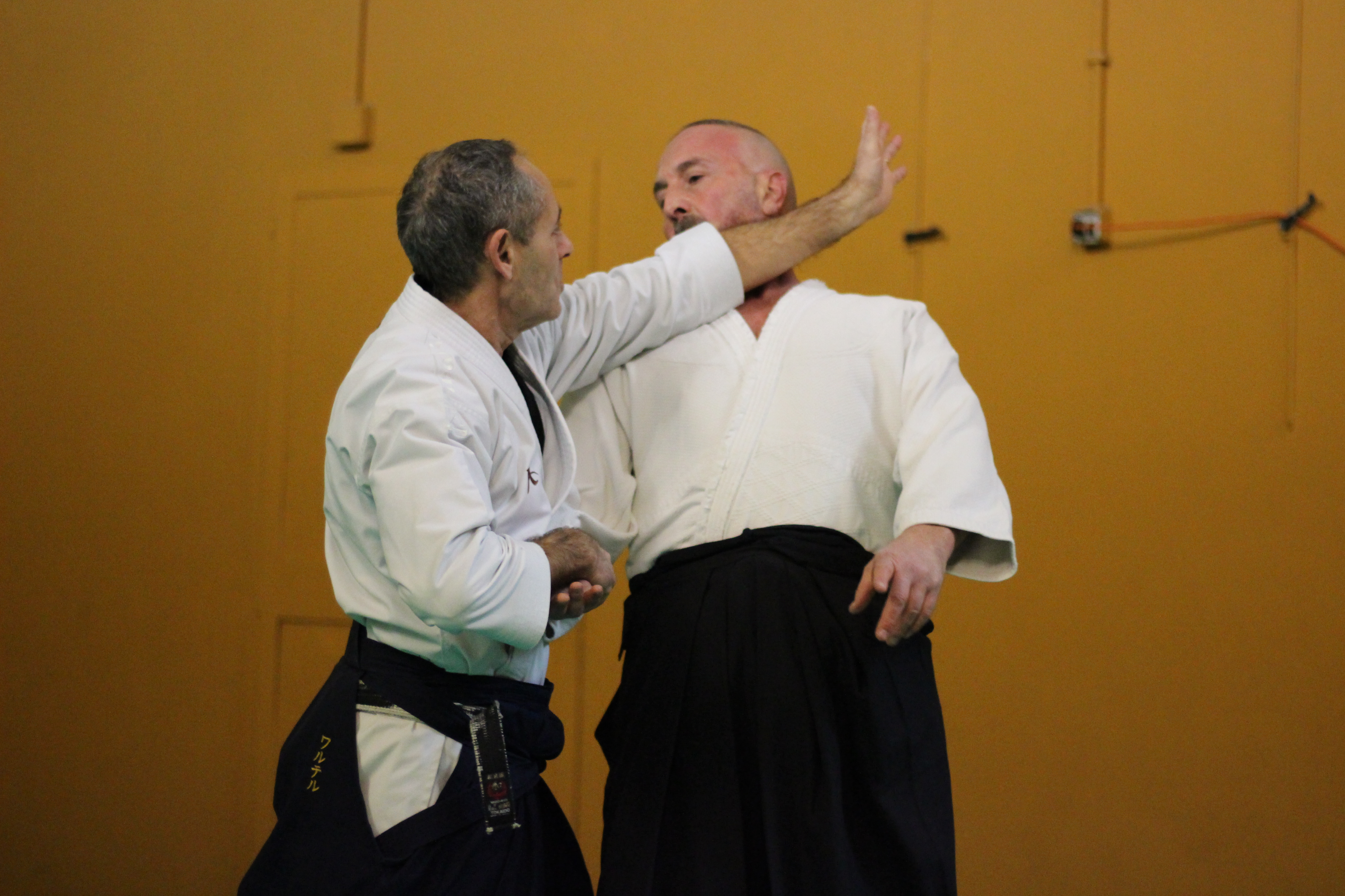 Aikido