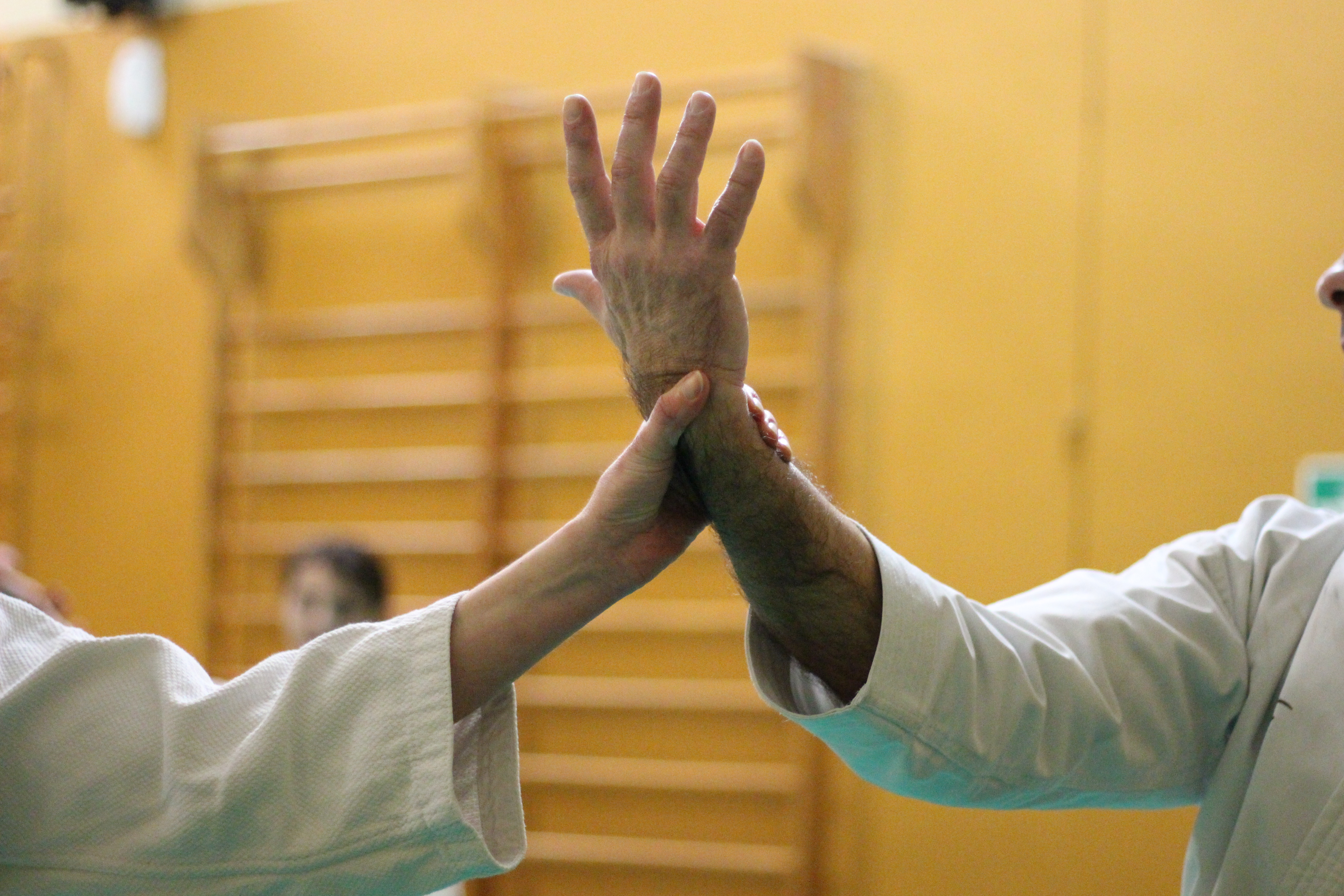 Aikido